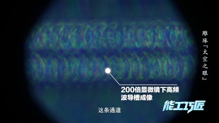 张志忠5